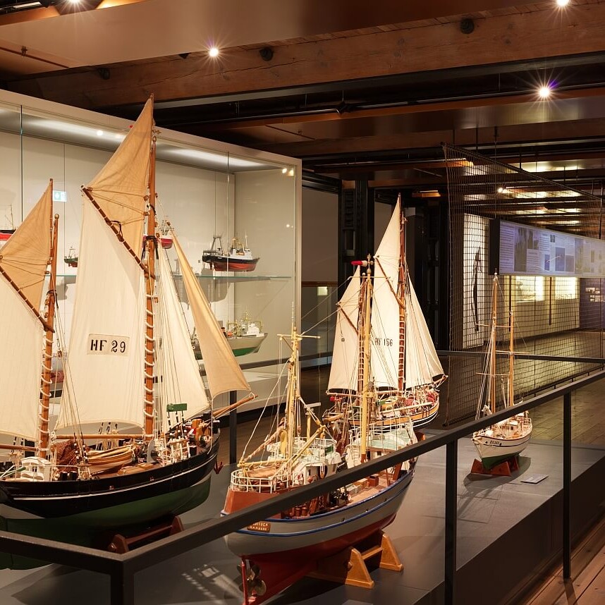 Museumsausstellung mit Modellsegelschiffen mit weißen Segeln in Vitrinen auf Holzfußboden, warm beleuchtet, maritime Exponate im Hintergrund.