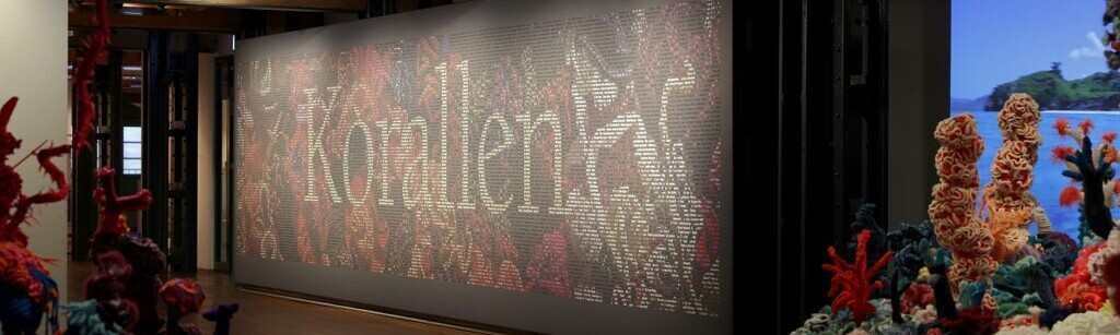 Museumsausstellung mit großer beleuchteter Wand mit dem Schriftzug Korallen und zahlreichen bunten, gehäkelten Korallen-Skulpturen in verschiedenen Formen auf dunklem Holzboden.