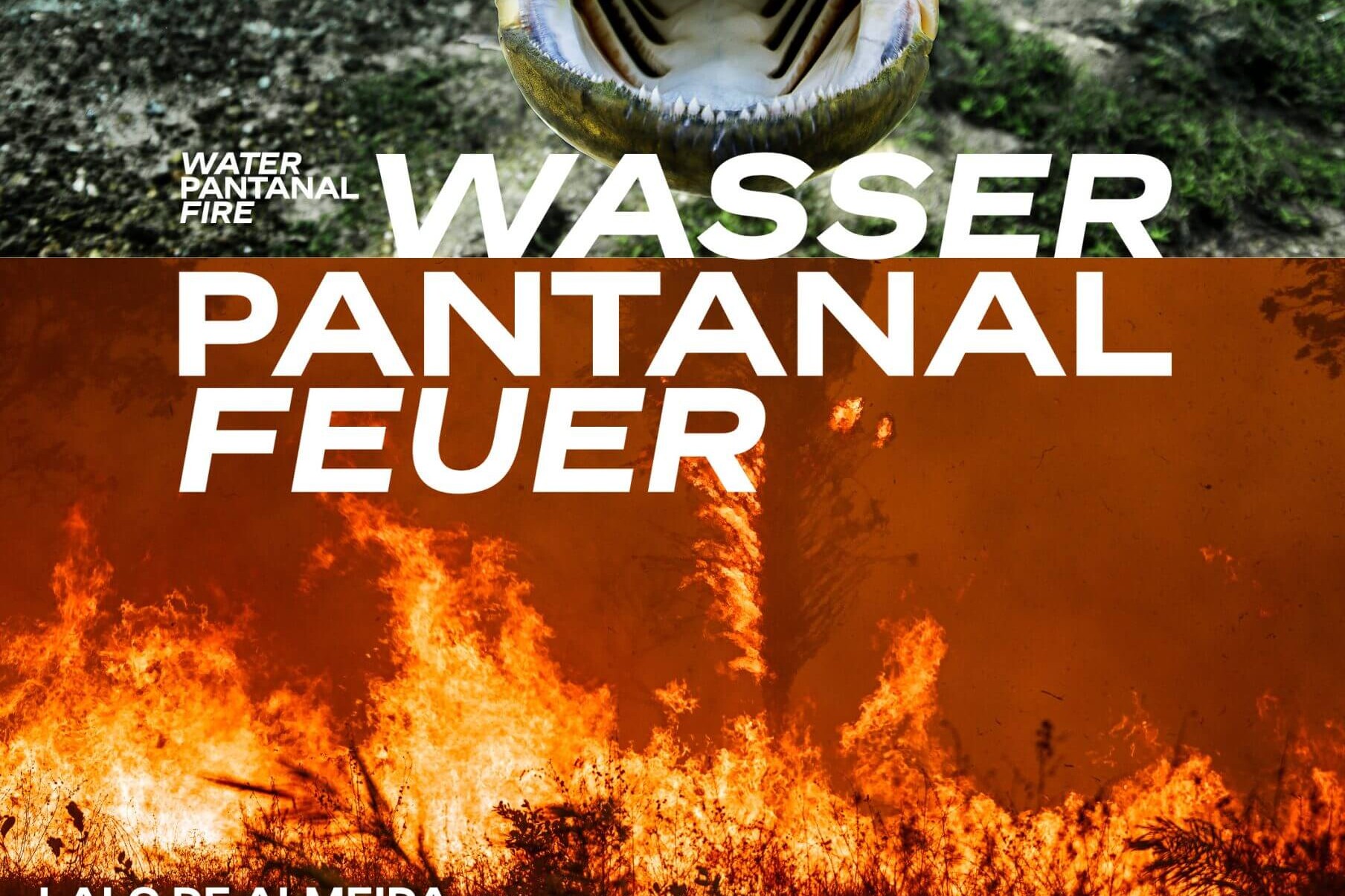 Oben ein weit geöffnetes Raubfischmaul unter Wasser mit mehreren Fischen, unten lodernde Brandlandschaft und mittig der große Schriftzug WASSER PANTANAL FEUER.