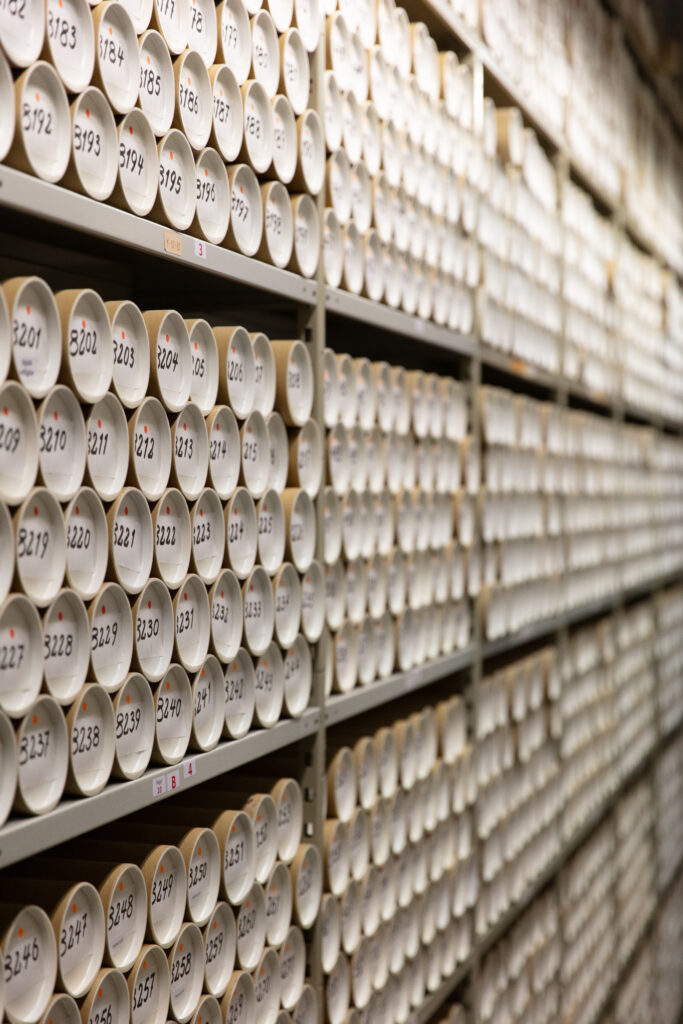 Regale mit nummerierten Papprollen, die archiviertes Material enthalten
