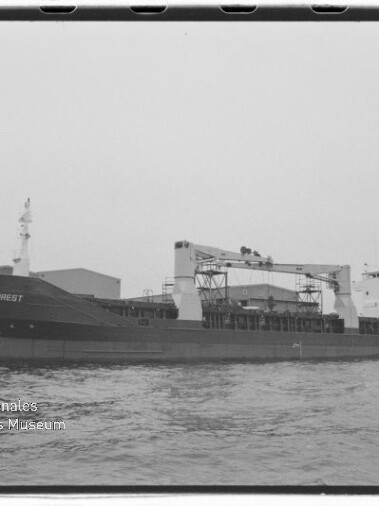 Frachtschiff BREMER FOREST liegt am Kai eines Industriehafens, mit Kränen, Lagerhallen und ruhiger Wasserfläche im Vordergrund.