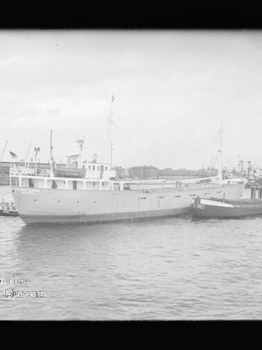 Schwarzweißaufnahme eines großen Frachtschiffs mit Schlepper an seiner Seite im Hafen vor Kais und Kränen; Museumslogo unten links