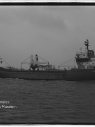 Schwarzweißfoto eines Frachtschiffs mit Ladekranen auf ruhiger See vor Ufer; Museumslogo unten links.