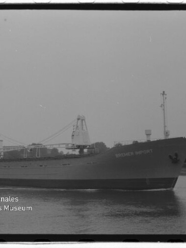 Frachtschiff WIEDNER IMPORT mit Ladekranen fährt auf ruhigem Wasser vor einem baumbestandenen Ufer.