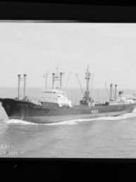 Schwarzweißaufnahme eines Frachtschiffs mit Ladekränen auf ruhiger See, mit Museumswasserzeichen unten links.