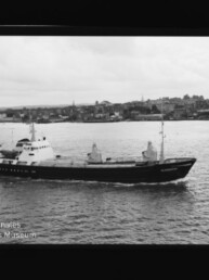 Schwarzweißbild eines Frachtschiffs namens Alexandria, das vor der Uferlinie einer Hafenstadt mit Kirchtürmen fährt.