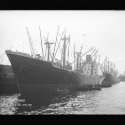 Mehrere angelegte Frachtschiffe mit Ladebäumen am Kai, ruhige Wasseroberfläche und Wasserzeichen Internationales Maritimes Museum Hamburg unten links
