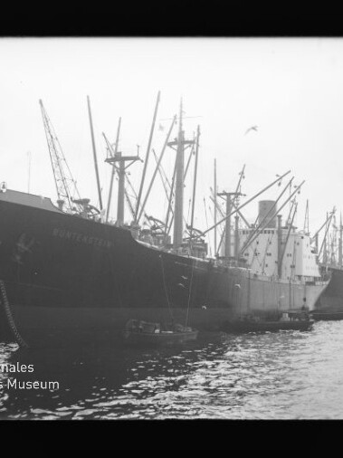 Mehrere angelegte Frachtschiffe mit Ladebäumen am Kai, ruhige Wasseroberfläche und Wasserzeichen Internationales Maritimes Museum Hamburg unten links