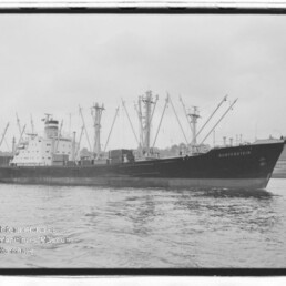 Großes Frachtschiff mit mehreren Ladekränen und Aufbauten fährt ruhig vor dem Ufer im Hafen.