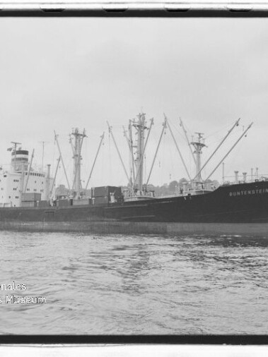 Großes Frachtschiff mit mehreren Ladekränen und Aufbauten fährt ruhig vor dem Ufer im Hafen.