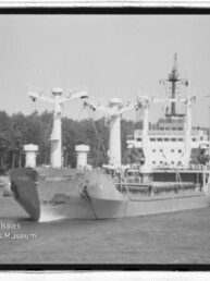 Frachtschiff mit Ladekränen fährt an bewaldetem Ufer vorbei, links unten Wasserzeichen Maritimes Museum Hamburg