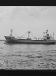 Schwarzweißaufnahme eines Frachtschiffs mit mehreren Ladekränen auf ruhiger See, links unten das Logo/Schriftzug Internationales Maritimes Museum Hamburg