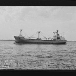 Schwarzweißaufnahme eines Frachtschiffs mit mehreren Ladekränen auf ruhiger See, links unten das Logo/Schriftzug Internationales Maritimes Museum Hamburg