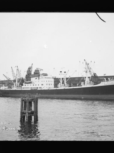 Frachtschiff mit schwarzem Rumpf und weißen Aufbauten am Kai, zahlreiche Hafenkräne im Hintergrund und Pfahl im Vordergrund.