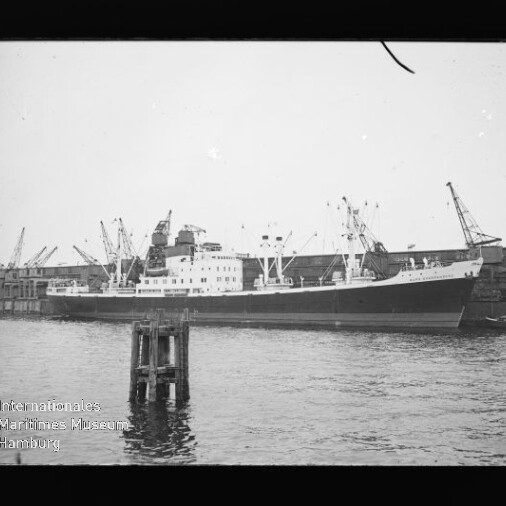Frachtschiff mit schwarzem Rumpf und weißen Aufbauten am Kai, zahlreiche Hafenkräne im Hintergrund und Pfahl im Vordergrund.