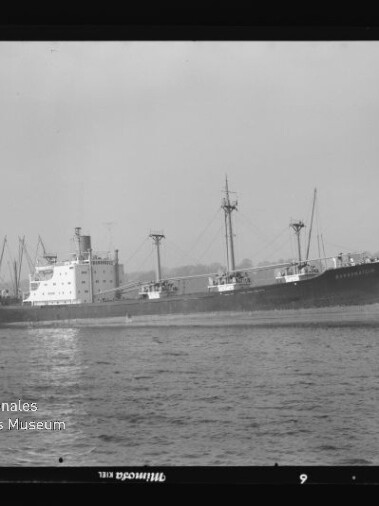 Großes Frachtschiff in Seitenansicht mit Ladekränen auf ruhiger See vor Küstenlinie, schwarzweiß, Museumswasserzeichen sichtbar