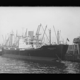Frachtschiff am Kai mit zahlreichen Hafenkränen, gut sichtbarer Bugaufschrift und Wasser im Vordergrund.