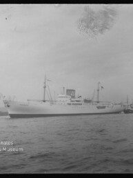 Weißes Passagierschiff im Hafen, Schlepper an Steuerbord und Hafenkräne im Hintergrund.