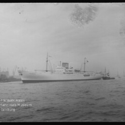 Weißes Passagierschiff im Hafen, Schlepper an Steuerbord und Hafenkräne im Hintergrund.