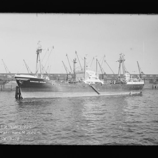 Frachtschiff mit mehreren Ladebäumen liegt am Kai vor Hafenkränen; Wasserzeichen Internationales Maritimes Museum Hamburg links unten.