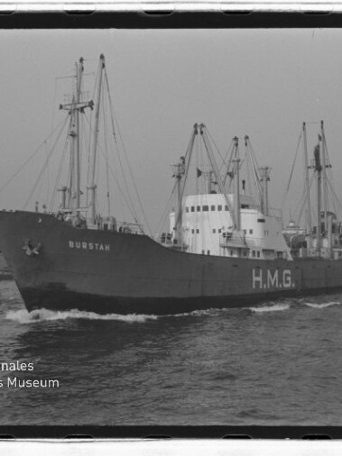 Frachtschiff BURSTAH mit großer Aufschrift H.M.G., begleitet von Schleppern im Hafen vor Hafenkränen.