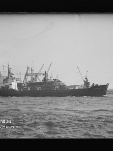 Frachtschiff mit mehreren Ladekränen im Hafen, Wellen im Vordergrund und Hafenkräne am Horizont.