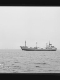 Schwarzweißfoto eines Frachtschiffs mit Ladekränen auf ruhiger See; Wasserzeichen des Maritimen Museums Hamburg.