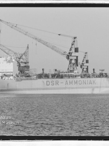 Großes Tankschiff mit Aufschrift DSR‑AMMONIAK am Hafenpier, mehrere Ladekräne darüber und ruhige Wasserfläche.