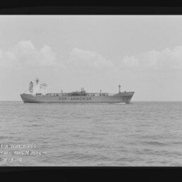 Schwarzweiß-Foto eines Frachtschiffs mit Aufschrift 'DSR-AMMONIAK' auf ruhiger See, Filmrahmen und Museumswasserzeichen.