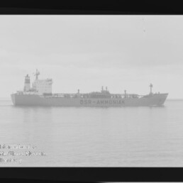 Schwarzweißfoto eines Tankers mit Aufschrift DSR-AMMONIAK auf ruhigem Meer; Filmrand und Museumswasserzeichen sichtbar.