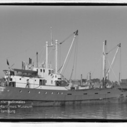Schwarzweißaufnahme des Frachtschiffs BUTCHENEY mit Ladekränen im Hafen vor städtischer Kulisse.