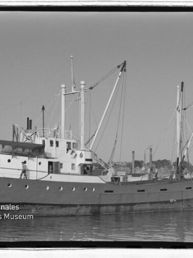 Schwarzweißaufnahme des Frachtschiffs BUTCHENEY mit Ladekränen im Hafen vor städtischer Kulisse.