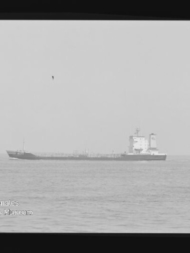 Tankerschiff in der Ferne auf ruhiger See, sichtbarer schwarzer Filmrand und Wasserzeichen des Internationalen Maritimen Museums Hamburg.