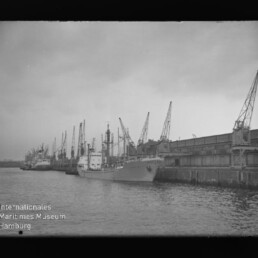 Mehrere Frachtschiffe an einem Industriekais mit hohen Kränen und bedecktem Himmel; Wasserzeichen Internationales Maritimes Museum Hamburg