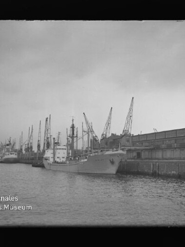 Mehrere Frachtschiffe an einem Industriekais mit hohen Kränen und bedecktem Himmel; Wasserzeichen Internationales Maritimes Museum Hamburg
