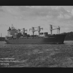 Frachtschiff mit drei Deckskranen und gestapelten Containern auf ruhigem Wasser, Küstenlinie im Hintergrund.