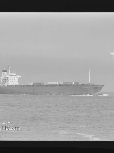Frachtschiff mit Containern auf ruhiger See, eine Möwe rechts im Flug und Museumswasserzeichen unten links.