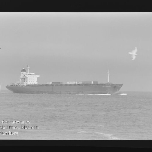 Frachtschiff mit Containern auf ruhiger See, eine Möwe rechts im Flug und Museumswasserzeichen unten links.