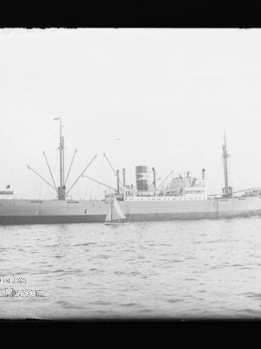 Großes Frachtschiff mit Ladekränen und Schornstein auf ruhiger See, kleines Segelboot im Vordergrund, schwarzweißes Foto mit Museumswasserzeichen.