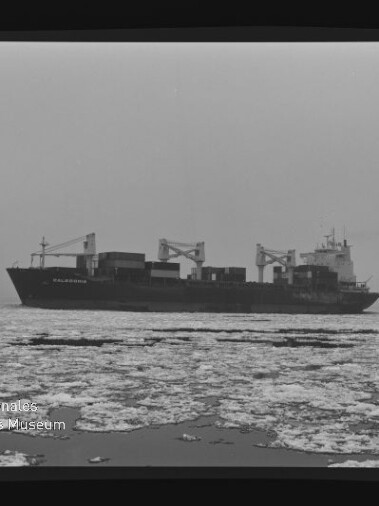 Frachtschiff mit Ladekränen auf eisbedecktem Meer, Eisschollen im Vordergrund, Schwarzweißaufnahme mit Museumswasserzeichen