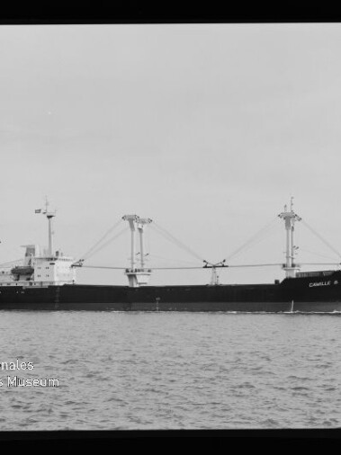Frachtschiff CAMILLE B mit Ladekränen auf ruhiger See, Wasserzeichen des Internationalen Maritimen Museums Hamburg