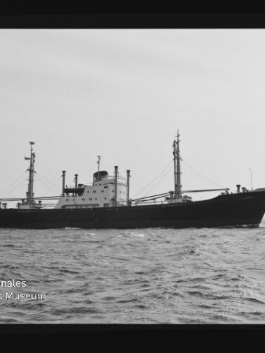 Schwarzweiß-Seitenansicht eines Frachtschiffs mit Masten auf ruhiger See; unten links Text Internationales Maritimes Museum.