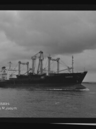 Frachtschiff mit mehreren Deckskränen fährt bei bewölktem Himmel über ruhiges Meer.