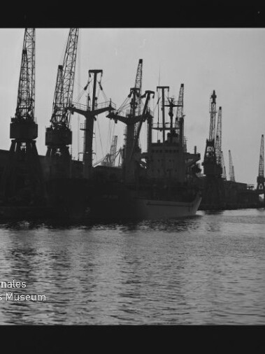 Silhouette mehrerer Hafenkräne und ein angedocktes Frachtschiff am Kai, ruhiges Wasser im Vordergrund.