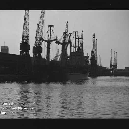 Silhouette mehrerer Hafenkräne und ein angedocktes Frachtschiff am Kai, ruhiges Wasser im Vordergrund.