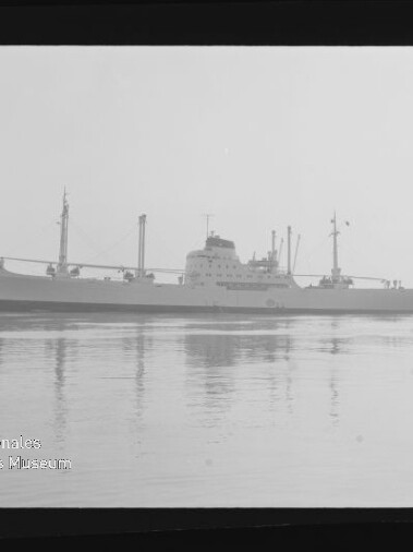 Seitenansicht eines Frachtschiffs auf ruhiger See mit Spiegelung und Wasserzeichen des Maritimen Museums Hamburg unten links.