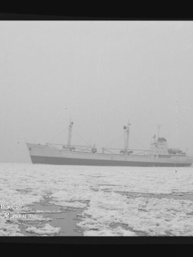 Frachtschiff auf ruhiger, teilweise zugefrorener See im Nebel, Museumswasserzeichen Internationales Maritimes Museum Hamburg