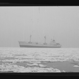Frachtschiff auf eisbedeckter See bei Nebel, im Vordergrund Treibeis und der Schriftzug Internationales Maritimes Museum Hamburg