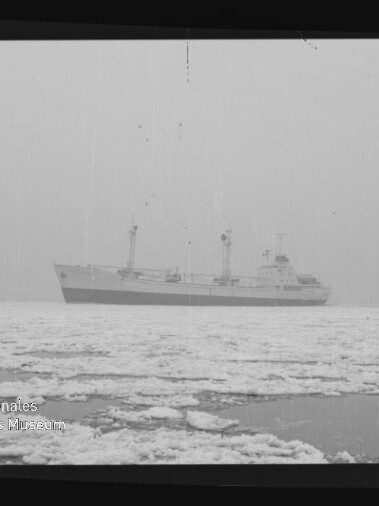 Frachtschiff auf eisbedeckter See bei Nebel, im Vordergrund Treibeis und der Schriftzug Internationales Maritimes Museum Hamburg