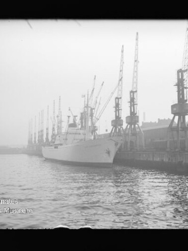 Großes Frachtschiff am Kai neben Reihe hoher Hafenkräne bei diesigem Licht; Wasser im Vordergrund.